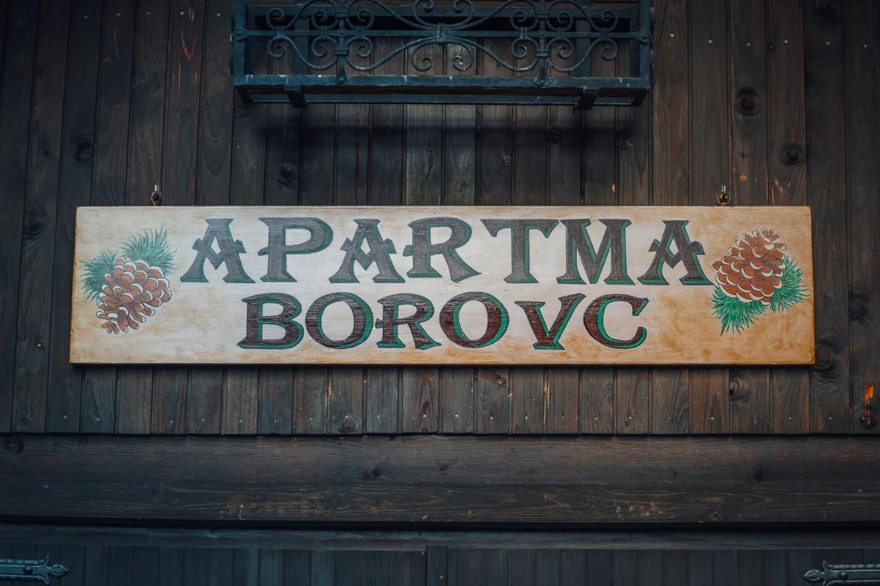 Apartma Borovc Mojstrana Exterior photo